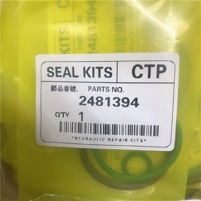 2481394 injecteur de carburant O Ring Kit des pièces 3406E C15 ACERT de kit d'injecteur