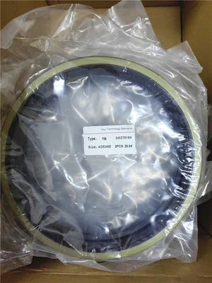 Les équipements de scellés pour excavatrice à chenille AW4401 AD5346 AD4983 AD5205 AD5346 AD5347 AD5054 AD5471 TCN